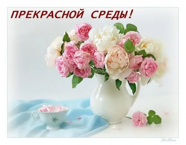 Открытка Среда - Букет роз в вазе: нежные цветы для открытки | Красивая открытка #1