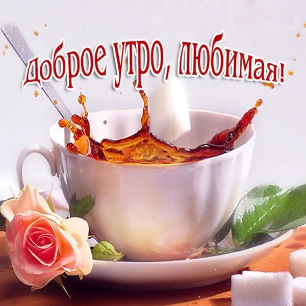 Открытка Доброе утро - Чай с розами: нежная открытка с цветами | Красивая открытка #469