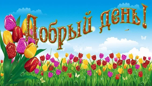 Открытка добрый день - Открытка с тюльпанами и цветами | Красивая открытка #105