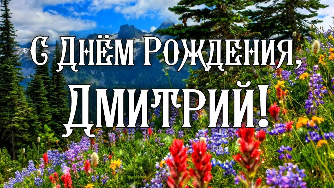 Открытка открытки с именем Дмитрий  - Поле цветов на фоне гор. Открытка. | Красивая открытка #64