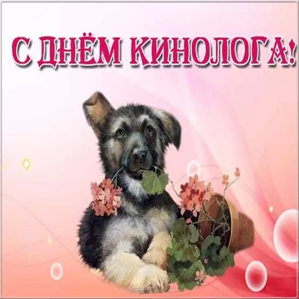 Открытка Открытки с днем кинолога - Щенок с цветами: Открытка с днем рождения | Красивая открытка #15