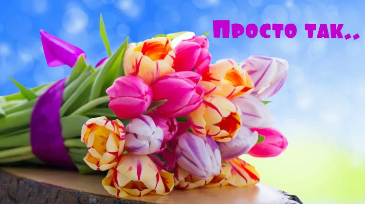 Открытка Просто так - Букет тюльпанов: нежные цветы на ярком фоне | Красивая открытка #46