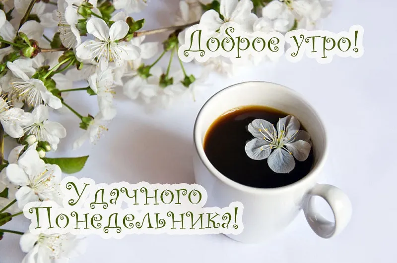 Открытка Доброе утро понедельник - Открытка: Кофе и цветы - нежное утро | Красивая открытка #8