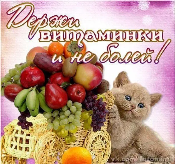 Открытка Не болей - Котенок и фрукты: открытка с милым питомцем | Красивая открытка #9
