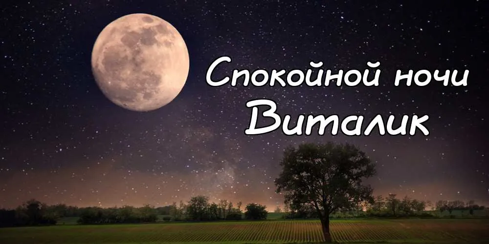 Открытка открытки с именем Виталий - Ночное небо, луна, поле, деревья. | Красивая открытка #98