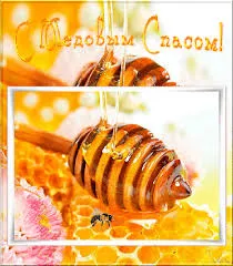 Открытка Открытки с Медовым Спасом - Открытка с мёдом и пчелкой | Красивая открытка #97