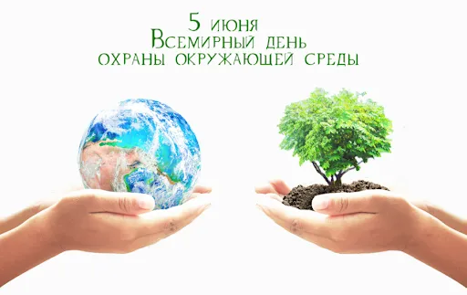 Открытка С днем охраны окружающей среды - День Земли: Открытка с планетой и ростком | Красивая открытка #5