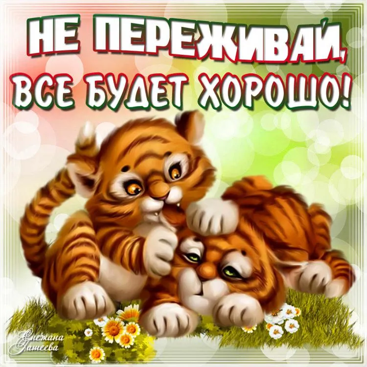 Открытка Открытки все будет хорошо - Два котенка: милые котята на открытке | Красивая открытка #11