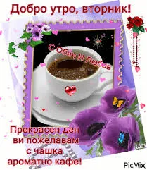 Открытка Открытки на вторник - Открытка с кофе и фиалками | Красивая открытка #84