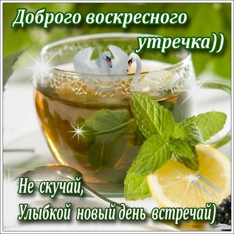 Открытка Открытки на воскресенье - Утро с чаем и лебедем: яркая открытка | Красивая открытка #20
