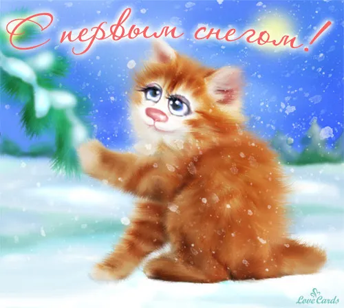 Открытка С первым снегом - Рыжий котенок на снегу: открытка с Новым годом | Красивая открытка #63