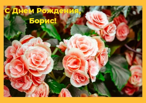 Открытка открытки с именем Борис - Розовые розы: С Днем Рождения! Красивая открытка | Красивая открытка #160