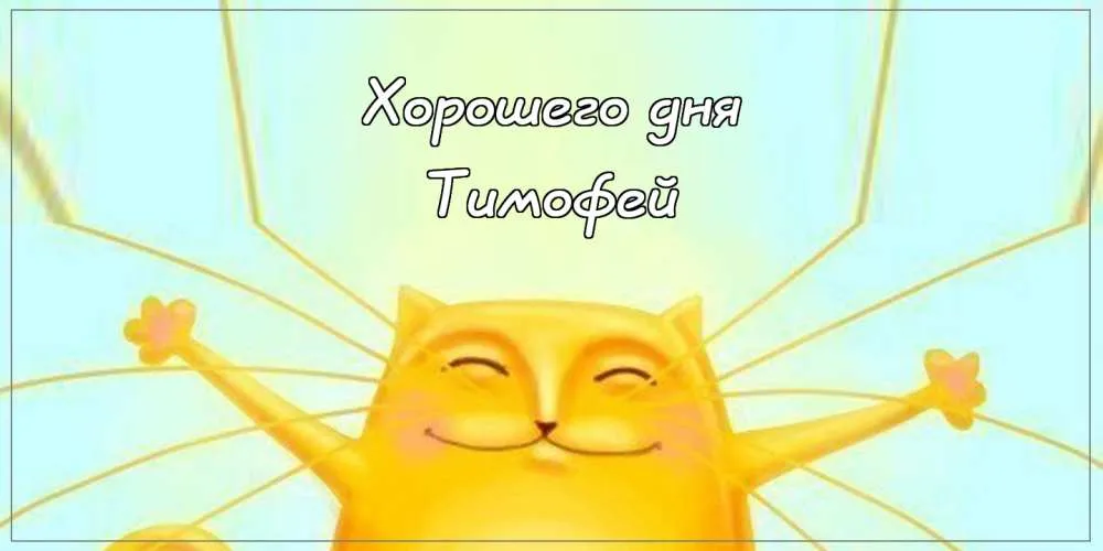 Открытка Открытки с именем Тимофей - Жёлтый кот с поднятыми вверх лапами. | Красивая открытка #241