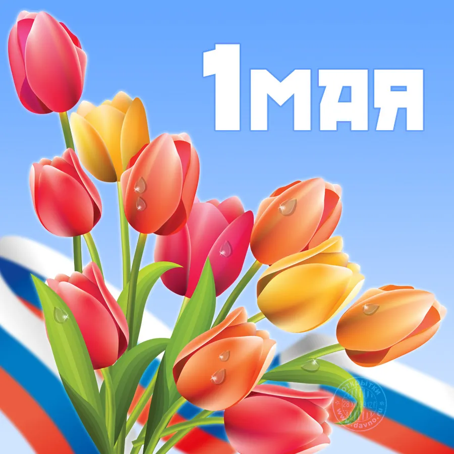 Открытка 1 мая - Открытка с тюльпанами: 1 мая - День труда | Красивая открытка #4