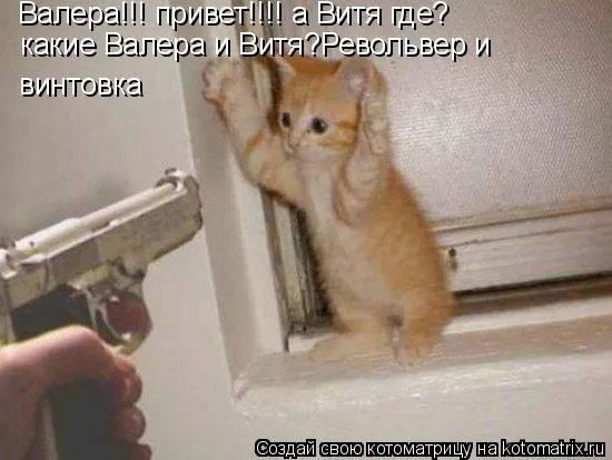 Открытка Открытки с именем Валерий - Рыжий кот и пистолет: смешная открытка | Красивая открытка #245