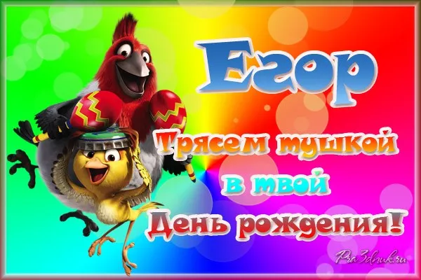 Открытка открытки с именем Егор - Открытка с птицами: день рождения! | Красивая открытка #43