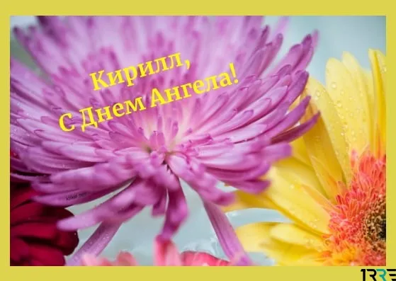 Открытка Открытки с именем Кирилл  - Открытка с цветами: розовый лотос на фоне зелени | Красивая открытка #169