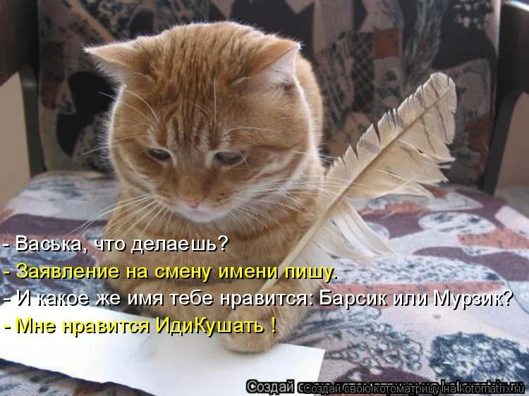 Открытка открытки с именем Василий - Рыжий кот на диване: открытка с котиком | Красивая открытка #225