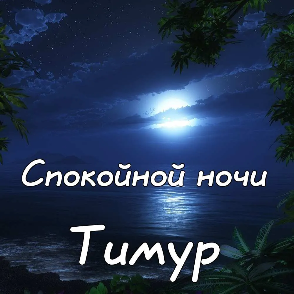 Открытка Открытки с именем Тимур - Ночная открытка: море, луна, пальмы | Красивая открытка #98