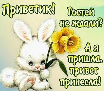 Открытка Привет - Открытка с зайчиком и цветком: поздравления и пожелания | Красивая открытка #13