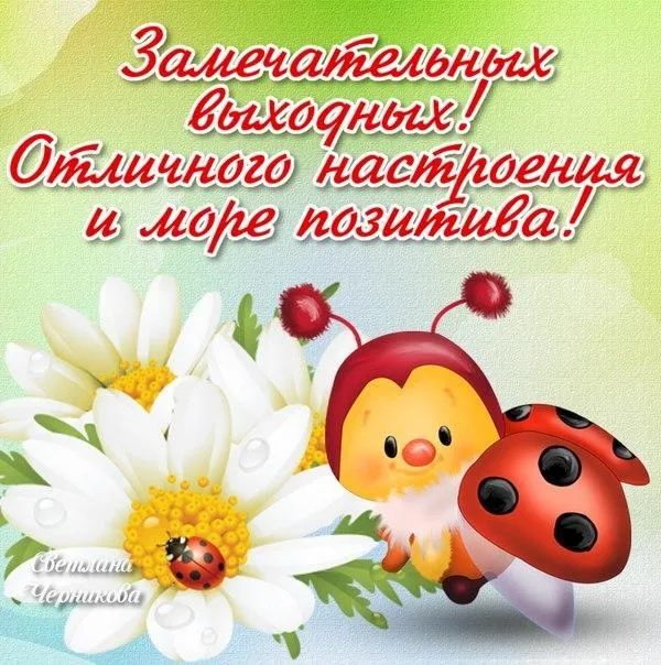 Открытка Выходные - Открытка с божьей коровкой и цветами | Красивая открытка #70