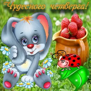 Открытка Открытки на четверг - Открытка с котенком, клубникой и божьей коровкой | Красивая открытка #91