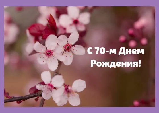 Открытка Открытки на 70 лет - Цветущая вишня: С Днём Рождения! | Красивая открытка #49