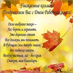 Открытка С днём работника леса - Открытка с Днём осеннего леса | Красивая открытка #52