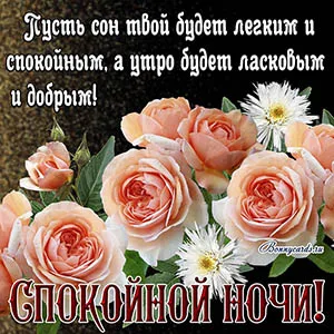 Открытка Спокойной ночи - Открытка с розами и хризантемами: С добрым вечером | Красивая открытка #27