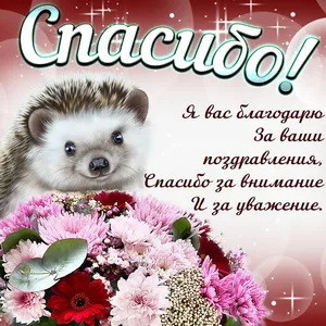 Открытка Спасибо - Открытка с ёжиком и цветами | Красивая открытка #59