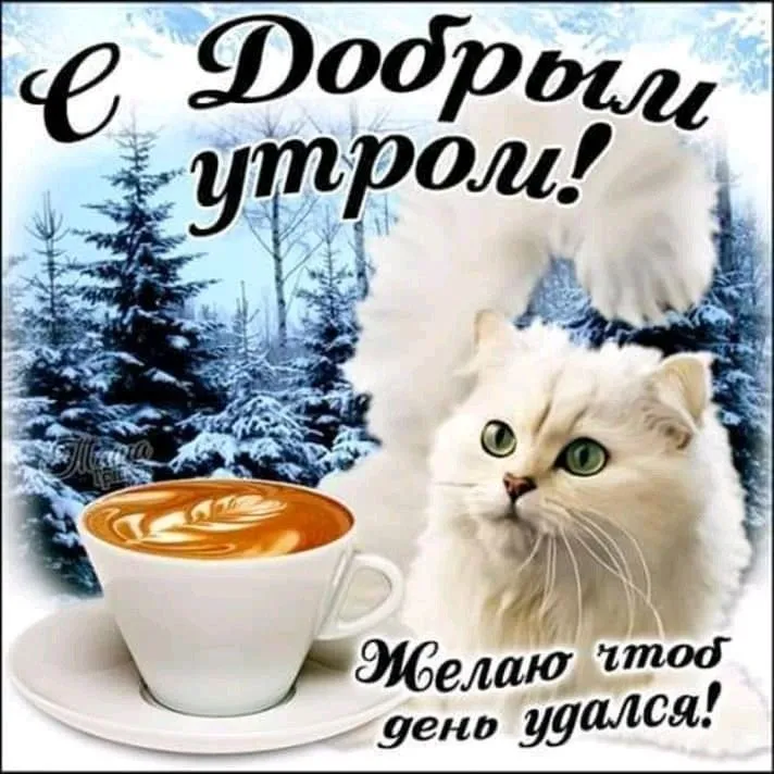 Открытка Открытки доброе зимнее утро - С наступающим Новым годом! | Красивая открытка #19