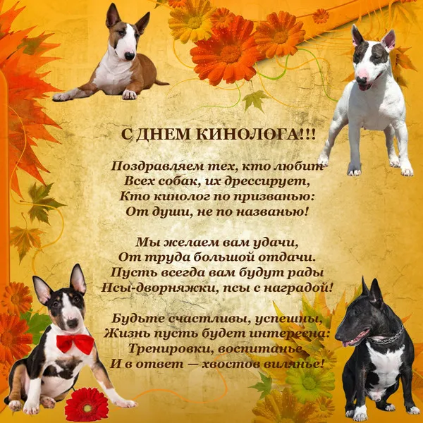 Открытка День кинолога - Открытка с собаками на фоне осенней листвы | Красивая открытка #16