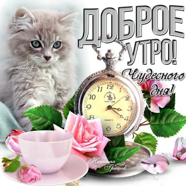 Открытка открытки с добрым утром - Утро! Часы, цветы и котенок. Открытка с добрым утром | Красивая открытка #307