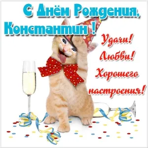 Открытка Открытки с именем Константин  - Котенок на празднике с шампанским - Открытка | Красивая открытка #211