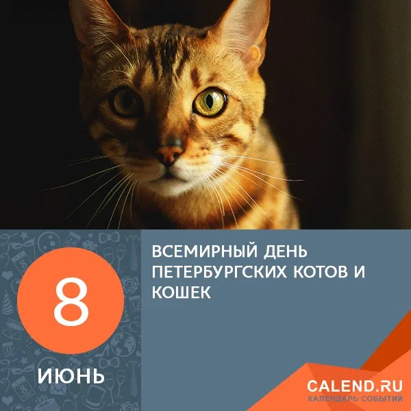 Открытка Всемирный день петербургских котов и кошек - Всемирный день котов и кошек | Красивая открытка #9