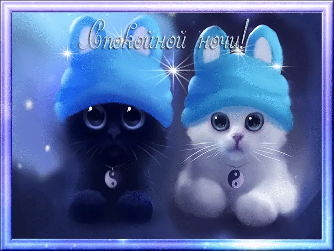 Открытка Спокойной ночи - Две кошки в шапках, открытка | Красивая открытка #56
