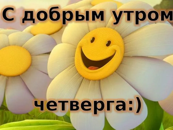Открытка Четверг - Открытка с ромашкой и солнышком | Красивая открытка #59