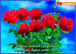 Открытка Открытки о дружбе - Открытка с красными розами на голубом фоне | Красивая открытка #200