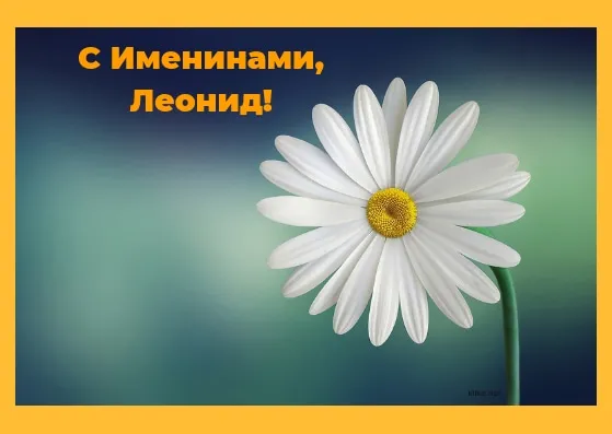 Открытка Открытки с именем Леонид  - Белая ромашка на голубом фоне | Красивая открытка #238
