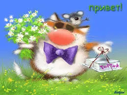 Открытка Открытки с приветствиями  - Открытка с котом, цветами и подарком | Красивая открытка #133