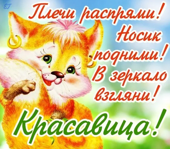 Открытка Не грусти - Открытка с котиком: С Днем Рождения! | Красивая открытка #30