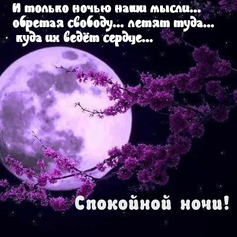 Открытка Спокойной ночи - Открытка: Спокойной ночи. Вид на луну и цветущую вишню. | Красивая открытка #30
