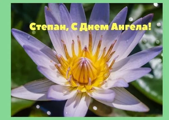 Открытка Открытки с именем Степан - Лилии: Нежные цветы для поздравлений | Красивая открытка #170