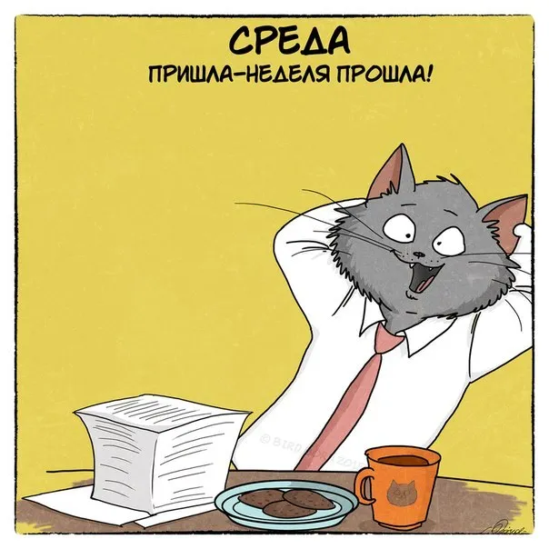 Открытка Открытки на среду - Котик в галстуке: смешная открытка на среду | Красивая открытка #76