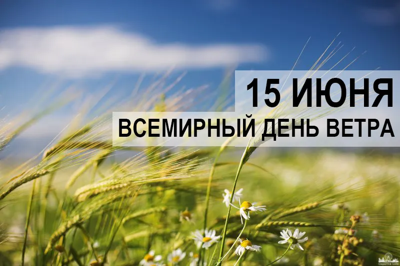 Открытка Всемирный день ветра - Пшеничное поле с ромашками  Открытка с летом | Красивая открытка #19