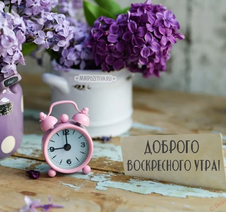 Открытка Доброе утро воскресенье - Доброе утро! Открытка с цветами и часами  Detki.ru | Красивая открытка #13