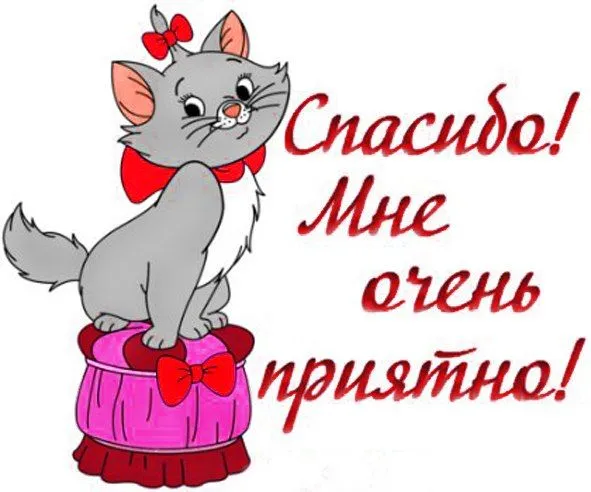 Открытка Очень приятно - Открытка с милым котенком | Красивая открытка #8