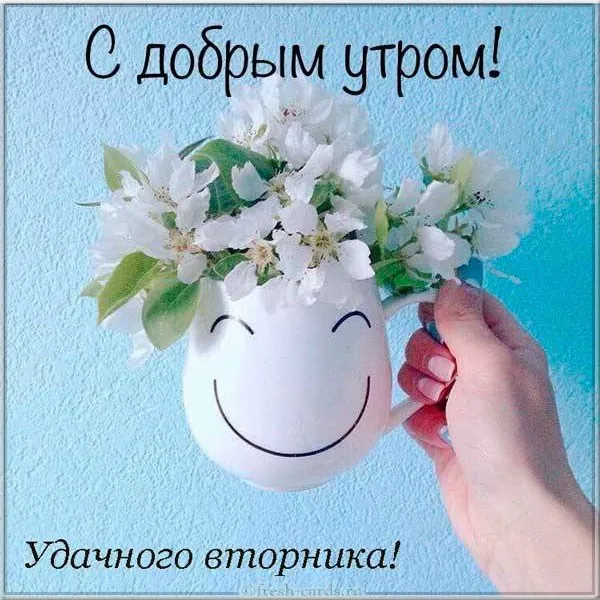 Открытка Вторник - Открытка: цветок в чашке, улыбающийся смайлик | Красивая открытка #14