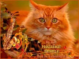 Открытка Открытки на пятницу - Рыжий кот с саксофоном и осенними листьями | Красивая открытка #228