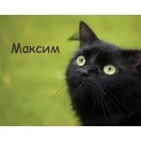 Открытка Открытки с именем Максим  - Открытка с черным котом. | Красивая открытка #29